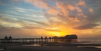 555 - STARLINGS OVER PIER AT SUNSET - SINCLAIR ALISTAIR - scotland <div